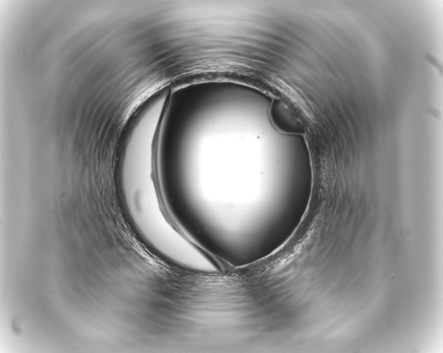 X0000093160826200710241018