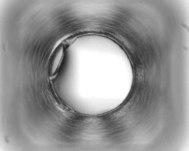 X0000093160830200710241018