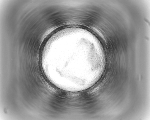 X0000093160831200710241018