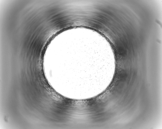 X0000093160832200710241018