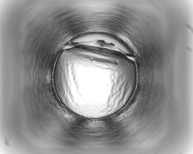 X0000093160833200710241018