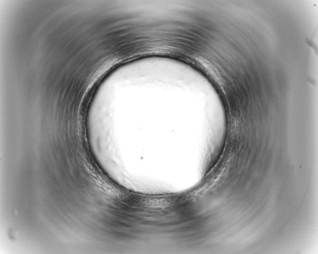 X0000093160835200710241018