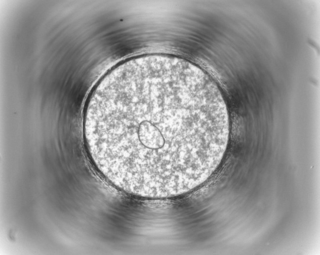 X0000093160836200710241018