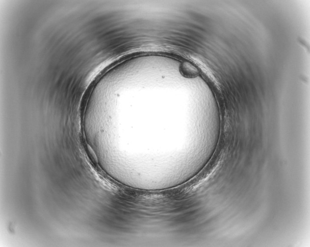 X0000093160837200710241018