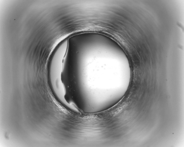 X0000093160838200710241018