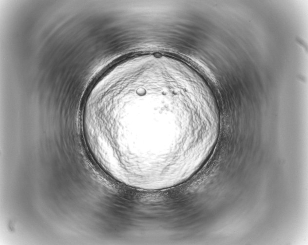 X0000093160839200710241018