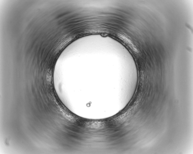 X0000093160841200710241018