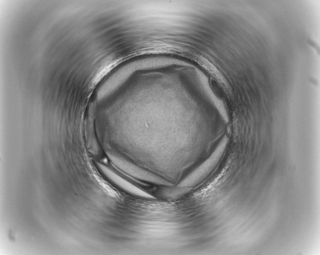 X0000093160842200710241018