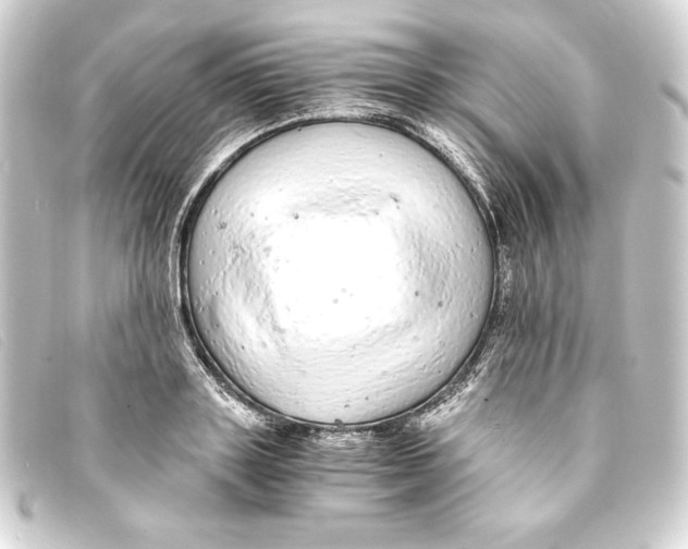 X0000093160843200710241018