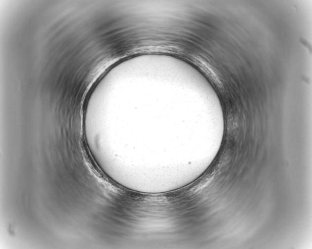 X0000093160844200710241018