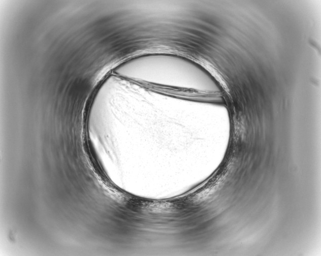 X0000093160845200710241018