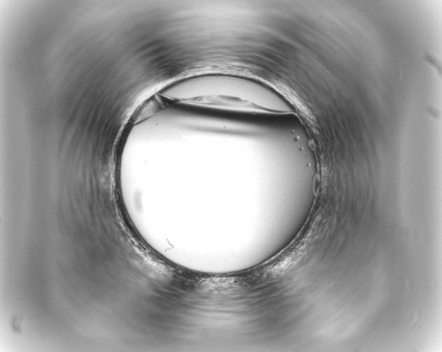 X0000093160846200710241018