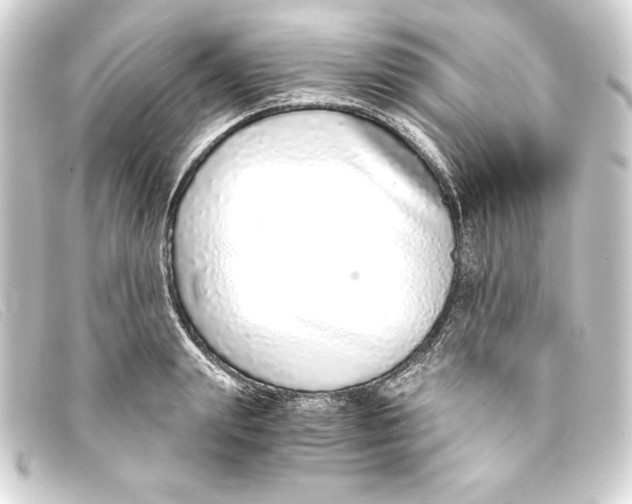 X0000093160847200710241018