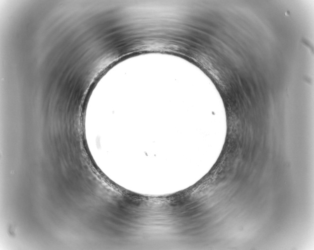 X0000093160848200710241018