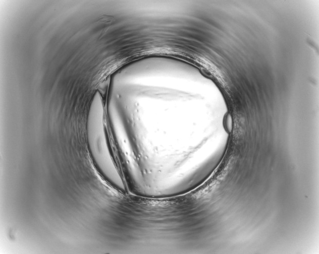X0000093160849200710241018