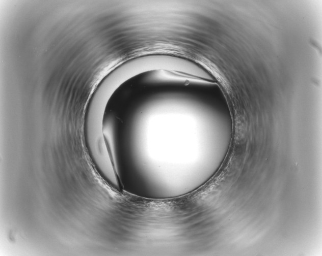 X0000093160850200710241018