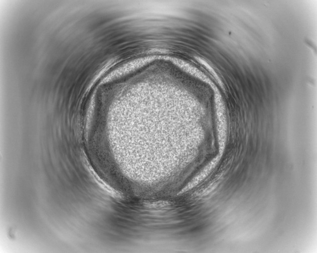 X0000093160851200710241018
