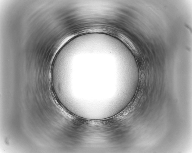 X0000093160852200710241018