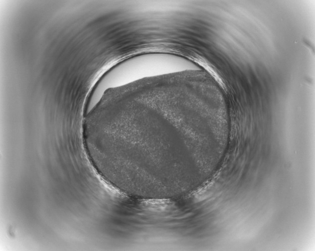 X0000093160853200710241018