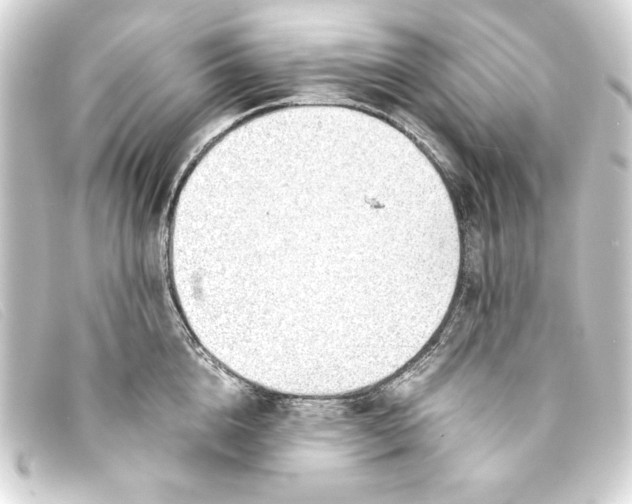 X0000093160856200710241018