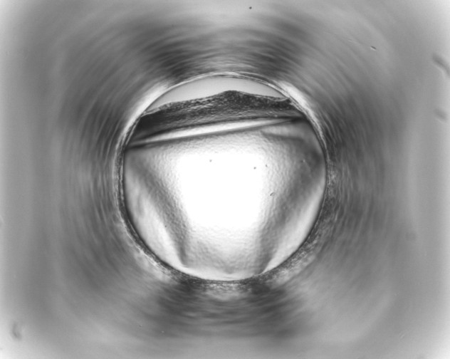 X0000093160859200710241019