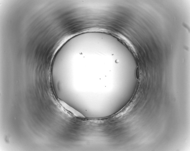 X0000093160860200710241019