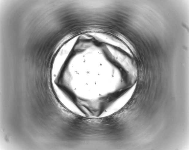 X0000093160861200710241019
