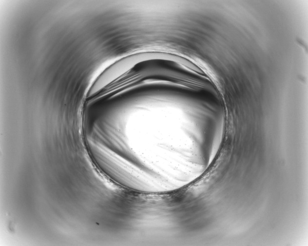 X0000093160862200710241019