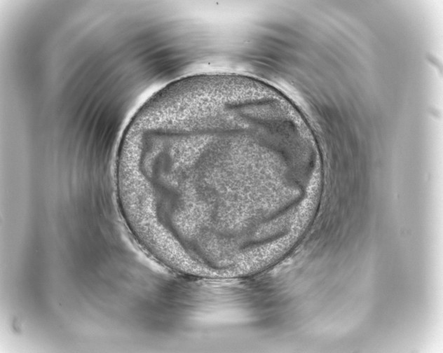 X0000093160864200710241019