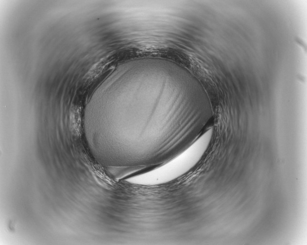X0000093160868200710241018