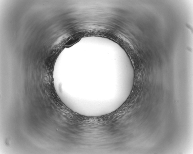 X0000093160869200710241018