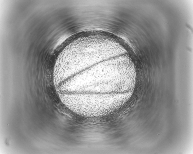 X0000093160871200710241018