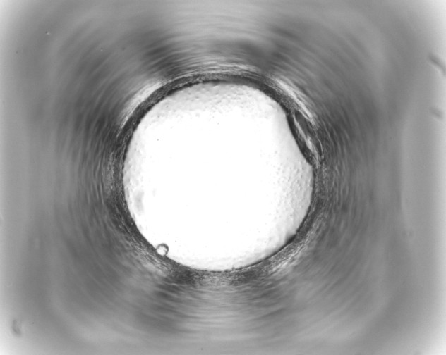 X0000093160875200710241018