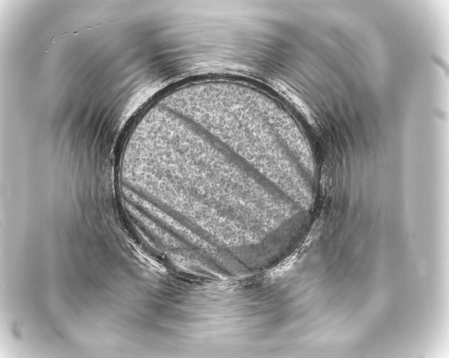 X0000093160877200710241018