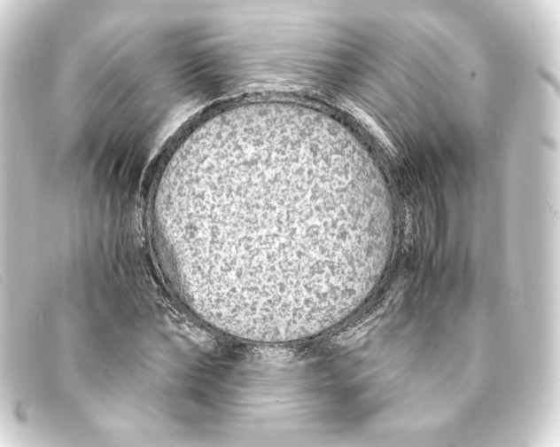 X0000093160878200710241018