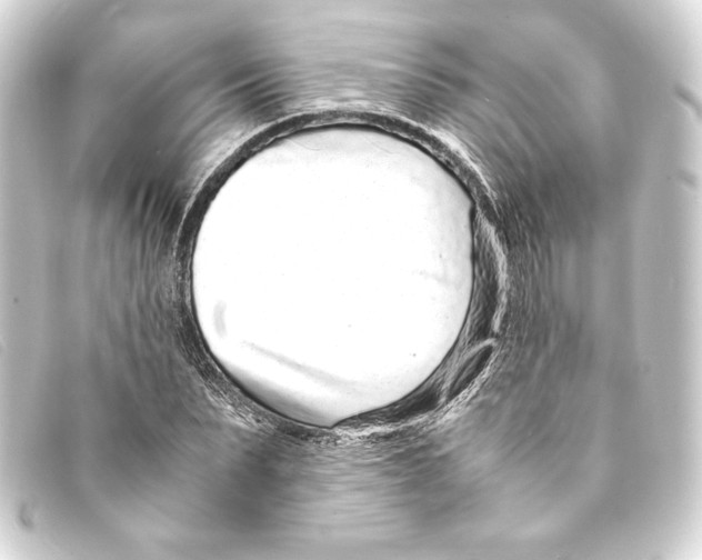 X0000093160879200710241018