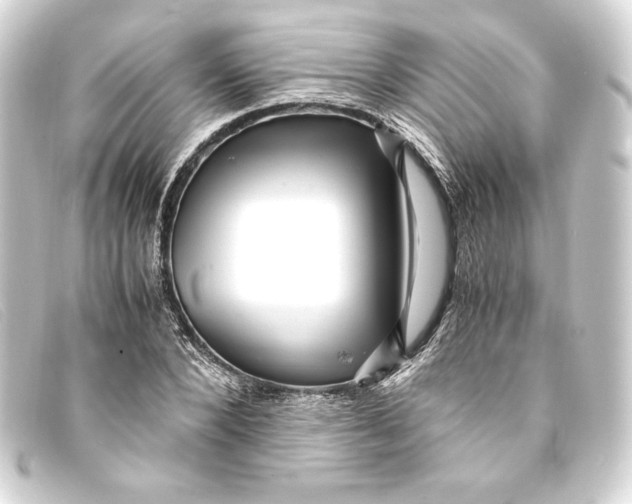 X0000093160880200710241018