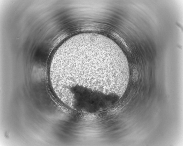 X0000093160882200710241018