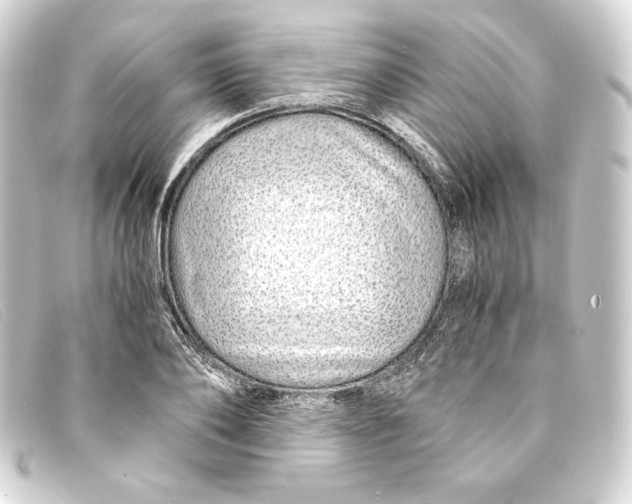 X0000093160886200710241018