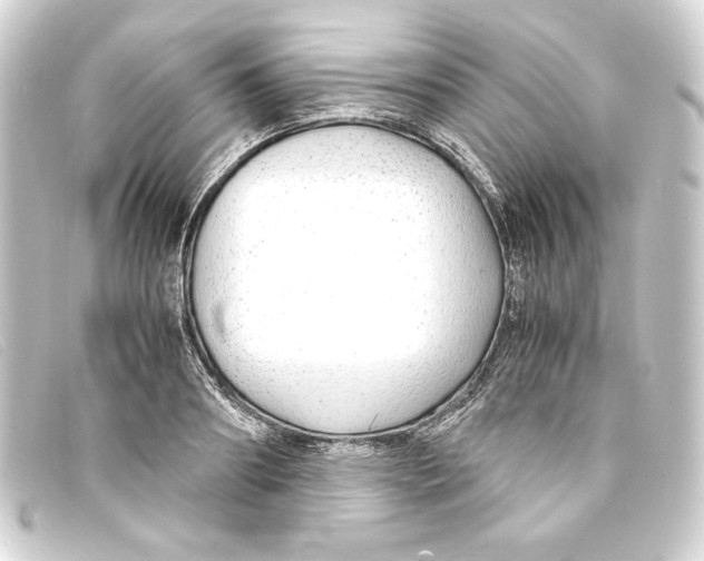 X0000093160890200710241018