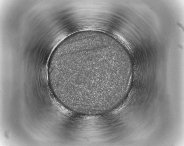 X0000093160892200710241018