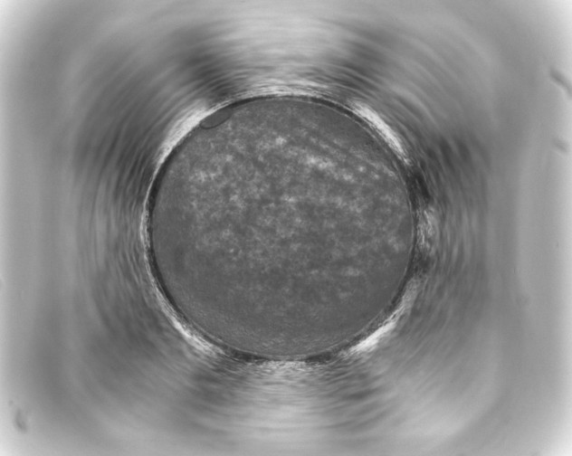 X0000093160893200710241018