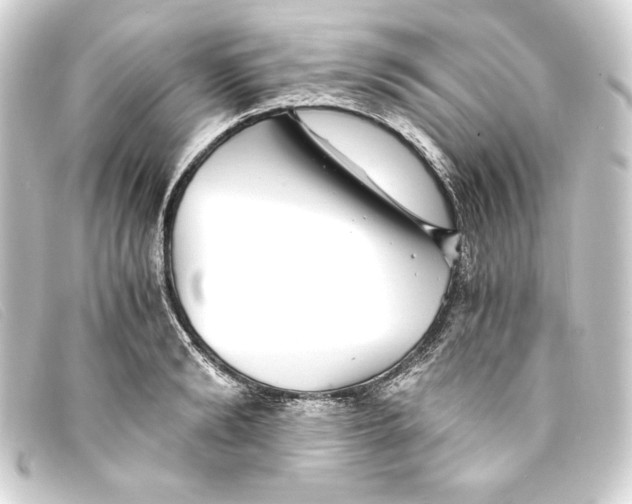 X0000093160894200710241018