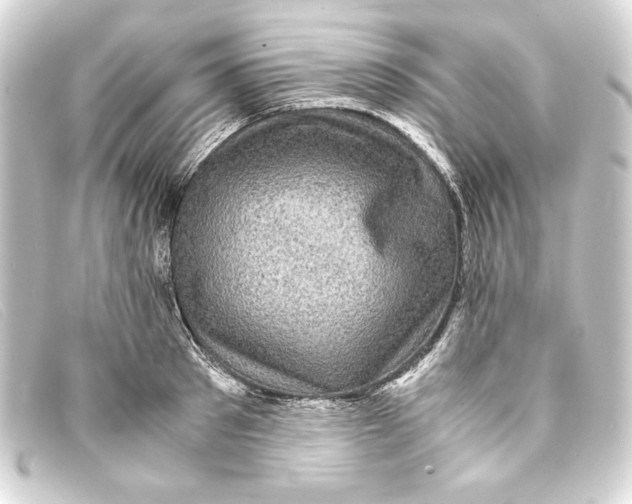 X0000093160897200710241018