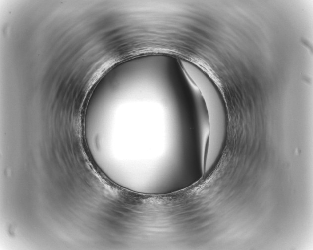 X0000093160898200710241018