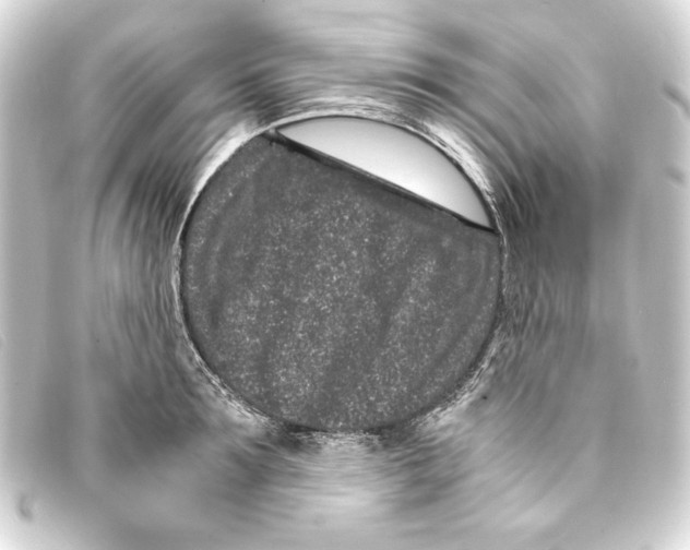 X0000093160899200710241018