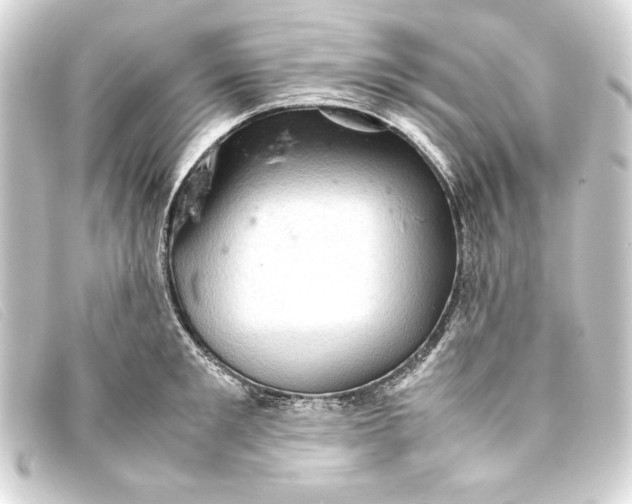 X0000093160901200710241018