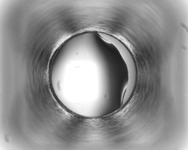 X0000093160902200710241018
