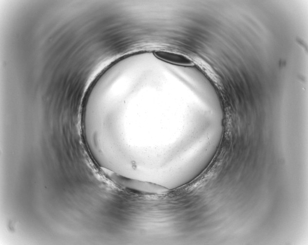X0000093160904200710241018