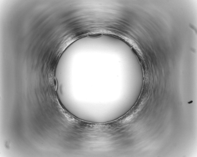 X0000093160905200710241018